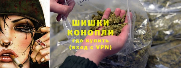 дживик Арсеньев