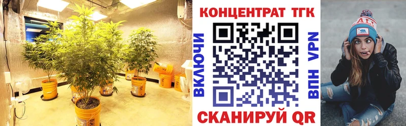 ТГК вейп  как найти закладки  Бабаево 