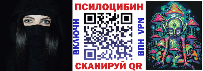 omg онион  Бабаево  Псилоцибиновые грибы Psilocybe  закладки 